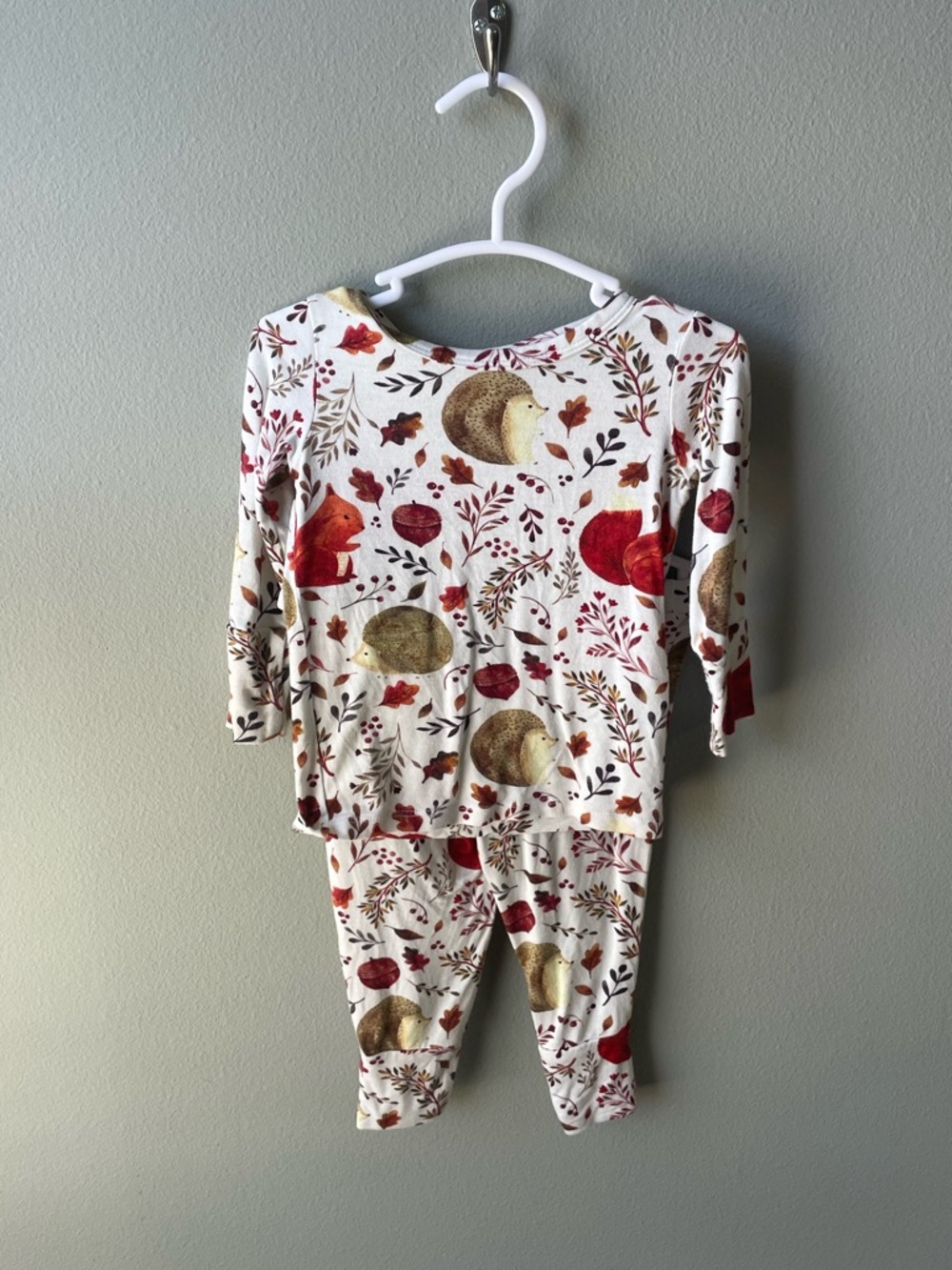 Posh Peanut // Woodland Animals Bamboo Two Piece Pajama Set Squirrels Florals